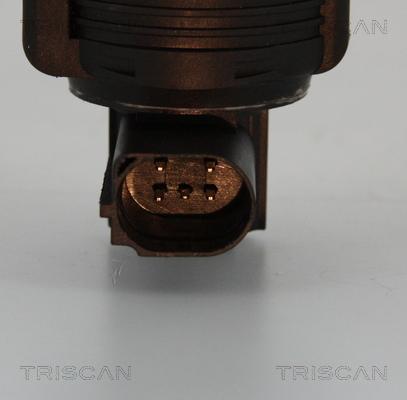 Triscan 8813 25005 - Valvola ricircolo gas scarico-EGR autozon.pro