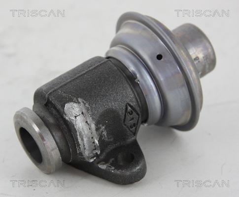 Triscan 8813 25006 - Valvola ricircolo gas scarico-EGR autozon.pro