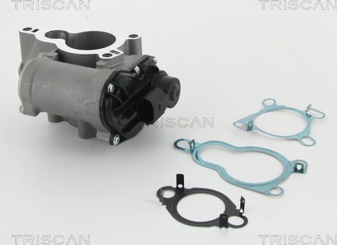 Triscan 8813 25010 - Valvola ricircolo gas scarico-EGR autozon.pro