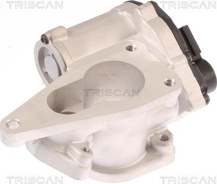 Triscan 8813 25012 - Valvola ricircolo gas scarico-EGR autozon.pro