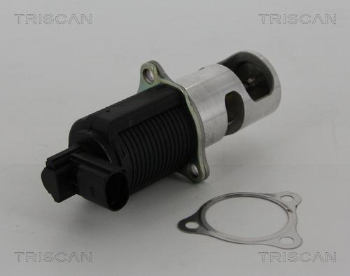 Triscan 8813 25038 - Valvola ricircolo gas scarico-EGR autozon.pro