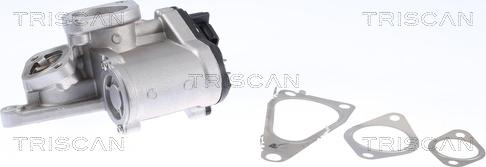 Triscan 8813 25201 - Valvola ricircolo gas scarico-EGR autozon.pro