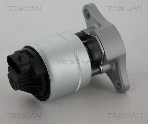 Triscan 8813 21006 - Valvola ricircolo gas scarico-EGR autozon.pro