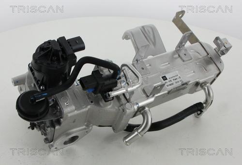 Triscan 8813 21010 - Valvola ricircolo gas scarico-EGR autozon.pro