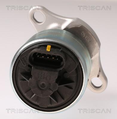 Triscan 8813 21026 - Valvola ricircolo gas scarico-EGR autozon.pro