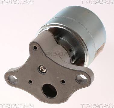 Triscan 8813 21026 - Valvola ricircolo gas scarico-EGR autozon.pro