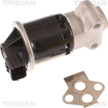 Triscan 8813 21100 - Valvola ricircolo gas scarico-EGR autozon.pro