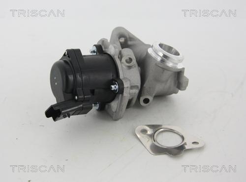 Triscan 8813 28003 - Valvola ricircolo gas scarico-EGR autozon.pro