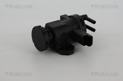 Triscan 8813 28016 - Convertitore pressione, Controllo gas scarico autozon.pro