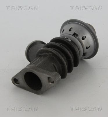 Triscan 8813 28100 - Valvola ricircolo gas scarico-EGR autozon.pro