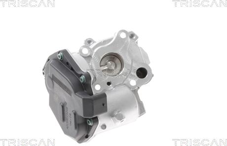 Triscan 8813 23015 - Valvola ricircolo gas scarico-EGR autozon.pro