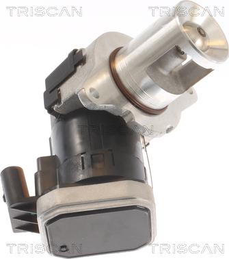 Triscan 8813 23021 - Valvola ricircolo gas scarico-EGR autozon.pro