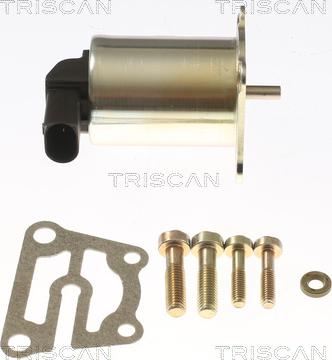 Triscan 8813 27009 - Valvola ricircolo gas scarico-EGR autozon.pro