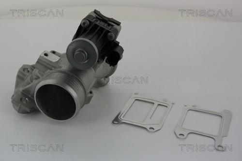 Triscan 8813 27102 - Valvola ricircolo gas scarico-EGR autozon.pro