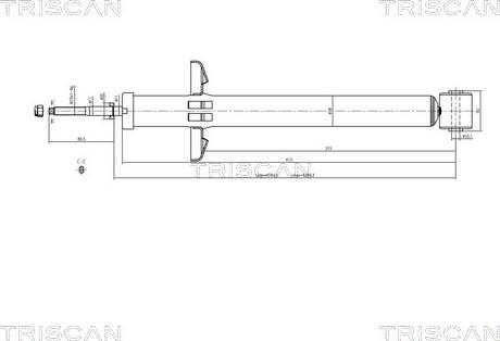 Triscan 8705 29209 - Ammortizzatore autozon.pro