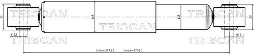 Triscan 8705 29213 - Ammortizzatore autozon.pro