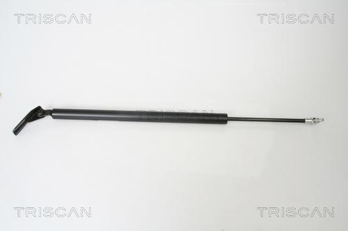 Triscan 8710 42238 - Ammortizatore pneumatico, Cofano bagagli / vano carico autozon.pro