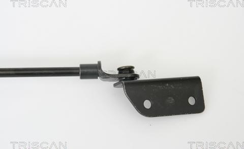 Triscan 8710 69223 - Ammortizatore pneumatico, Cofano bagagli / vano carico autozon.pro