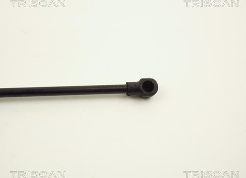 Triscan 8710 11107 - Ammortizzatore pneumatico, Cofano motore autozon.pro