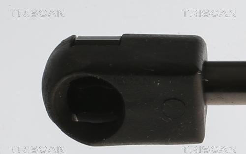 Triscan 8710 11362 - Ammortizatore pneumatico, Cofano bagagli / vano carico autozon.pro