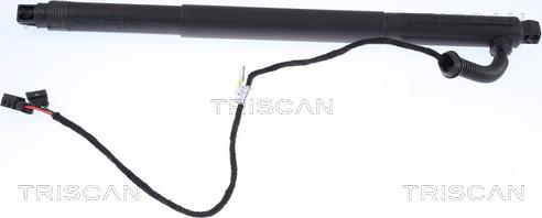 Triscan 8710 11301 - Ammortizatore pneumatico, Cofano bagagli / vano carico autozon.pro