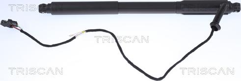 Triscan 8710 11303 - Ammortizatore pneumatico, Cofano bagagli / vano carico autozon.pro