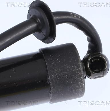 Triscan 8710 17303 - Ammortizatore pneumatico, Cofano bagagli / vano carico autozon.pro