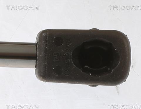 Triscan 8710 29155 - Ammortizzatore pneumatico, Cofano motore autozon.pro