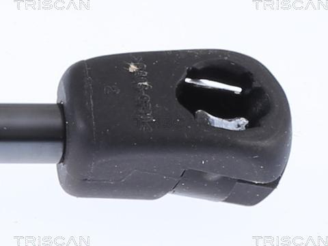 Triscan 8710 29152 - Ammortizzatore pneumatico, Cofano motore autozon.pro