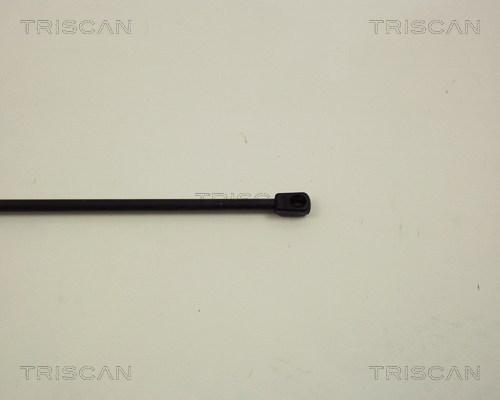 Triscan 8710 29102 - Ammortizzatore pneumatico, Cofano motore autozon.pro