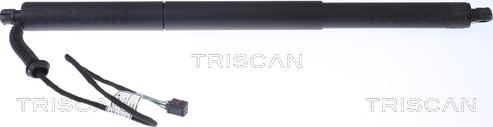 Triscan 8710 29302 - Ammortizatore pneumatico, Cofano bagagli / vano carico autozon.pro