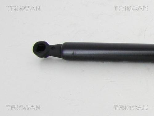 Triscan 8710 25108 - Ammortizzatore pneumatico, Cofano motore autozon.pro