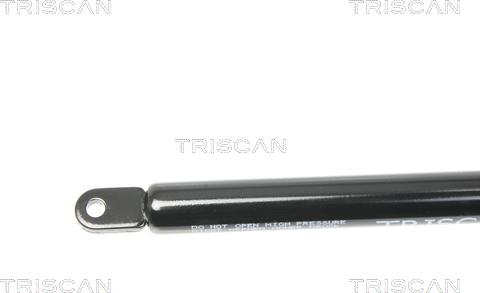 Triscan 8710 2005 - Ammortizzatore pneumatico, Cofano motore autozon.pro