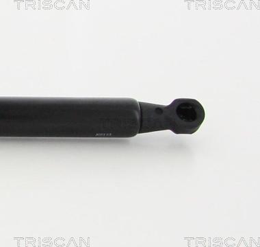 Triscan 8710 28106 - Ammortizzatore pneumatico, Cofano motore autozon.pro