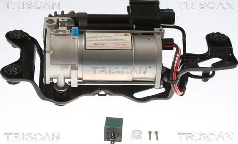 Triscan 8725 11105 - Compressore, Impianto aria compressa autozon.pro