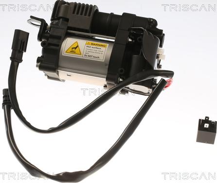 Triscan 8725 27101 - Compressore, Impianto aria compressa autozon.pro