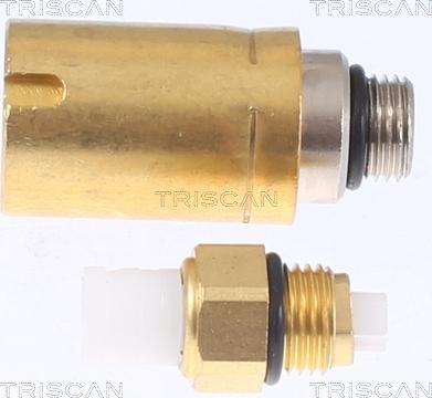 Triscan 8720 29301 - Molla pneumatica, Autotelaio autozon.pro