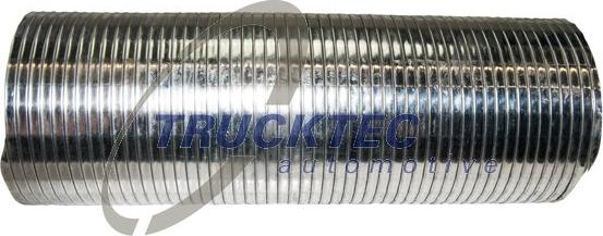 Trucktec Automotive 05.39.019 - Flessibile, Impianto gas scarico autozon.pro