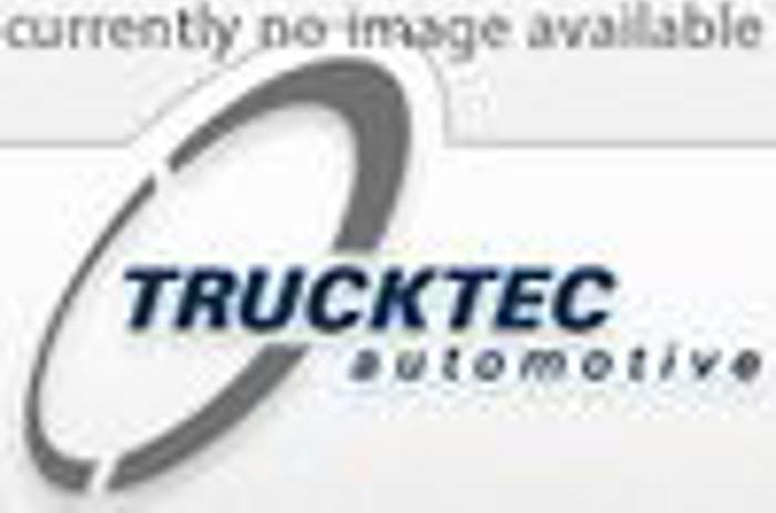 Trucktec Automotive 02.67.266 - Catena distribuzione autozon.pro