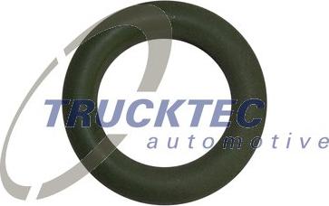 Trucktec Automotive 02.10.006 - Guarnizione, Asta controllo livello olio autozon.pro