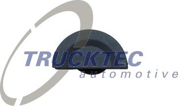 Trucktec Automotive 02.10.001 - Guarnizione, Copritestata autozon.pro