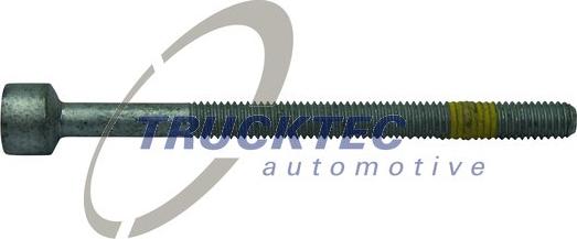 Trucktec Automotive 02.13.101 - Bullone, Supporto iniettore autozon.pro