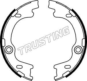 Trusting 046.221 - Kit ganasce, Freno stazionamento autozon.pro