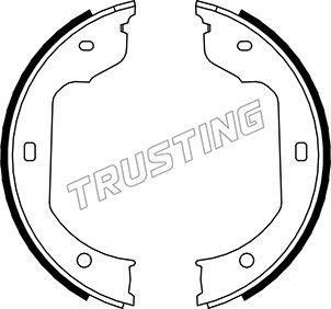 Trusting 019.029 - Kit ganasce, Freno stazionamento autozon.pro