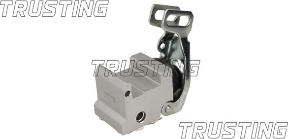 Trusting CT052 - Modulatore frenata autozon.pro