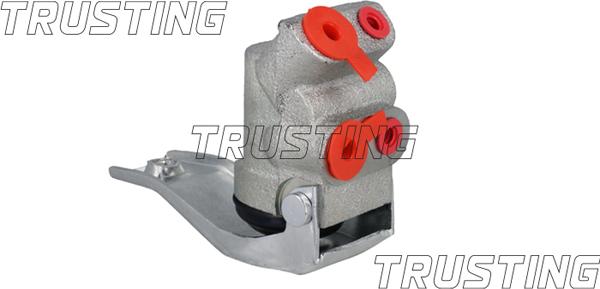 Trusting CT039 - Modulatore frenata autozon.pro