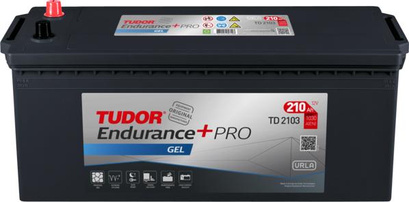 Tudor TD2103 - Batteria avviamento autozon.pro