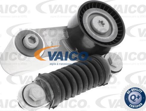 VAICO V95-0181 - Tendicinghia, Cinghia Poly-V autozon.pro