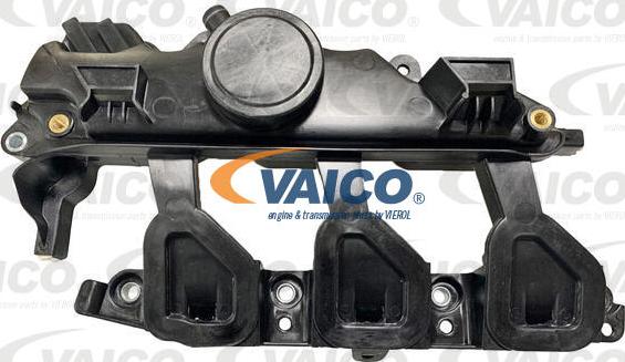 VAICO V46-1192 - Modulo collettore aspirazione autozon.pro