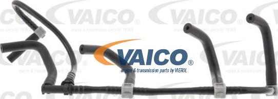 VAICO V46-1348 - Flessibile, Carburante perso autozon.pro